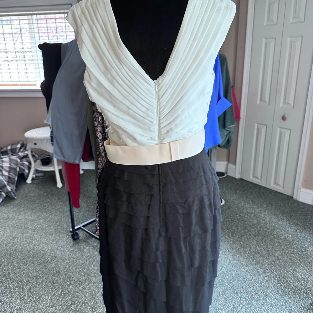 Tadashi Shoji Ivory And Black Pleated Dress - Picture 2 of 5